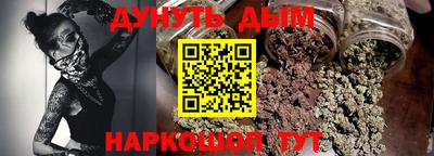 индика Кингисепп
