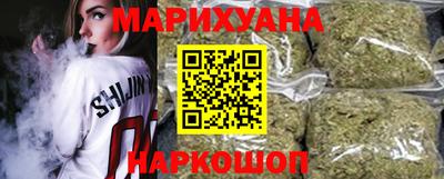 индика Кингисепп