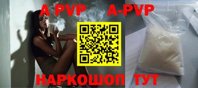 индика Кингисепп