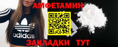 индика Кингисепп