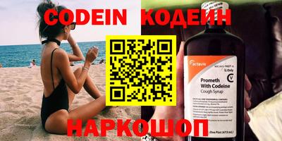 индика Кингисепп