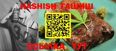 индика Кингисепп