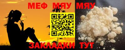 индика Кингисепп