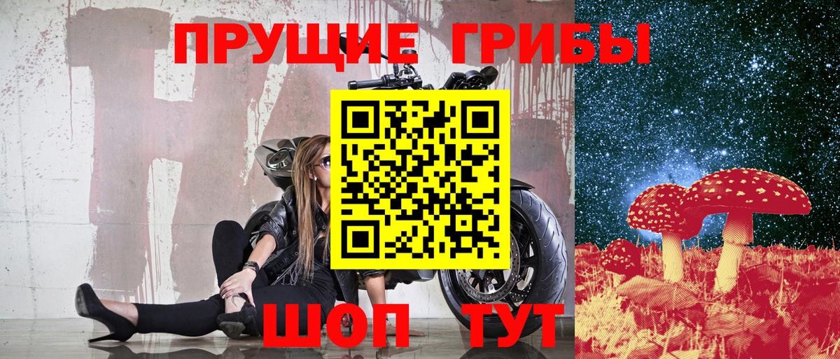 Галлюциногенные грибы ЛСД  Вход с VPN  Псилоцибиновые грибы Magic Shrooms  где можно купить наркотик  Сунжа 